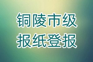 銅陵市級報紙登報