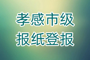 孝感市級報紙登報