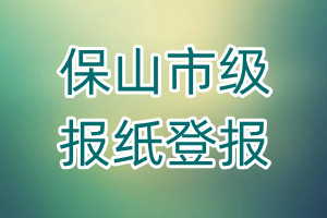 保山市級報紙登報