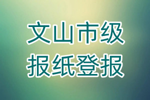 文山市級報紙登報
