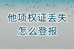 他項(xiàng)權(quán)證丟失怎么登報(bào)