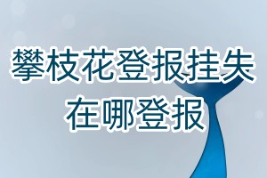 攀枝花登報掛失在哪登報