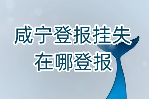 咸寧登報(bào)掛失在哪登報(bào)