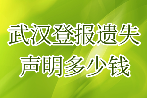 武漢登報遺失聲明多少錢