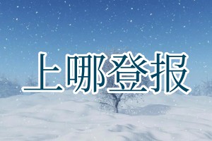 上哪登報