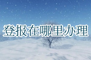 登報在哪里辦理