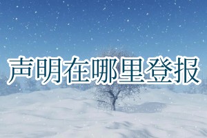 聲明在哪里登報(bào)