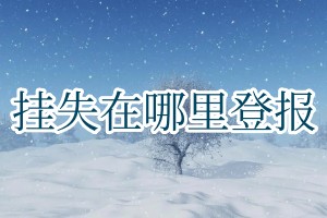 掛失在哪里登報(bào)